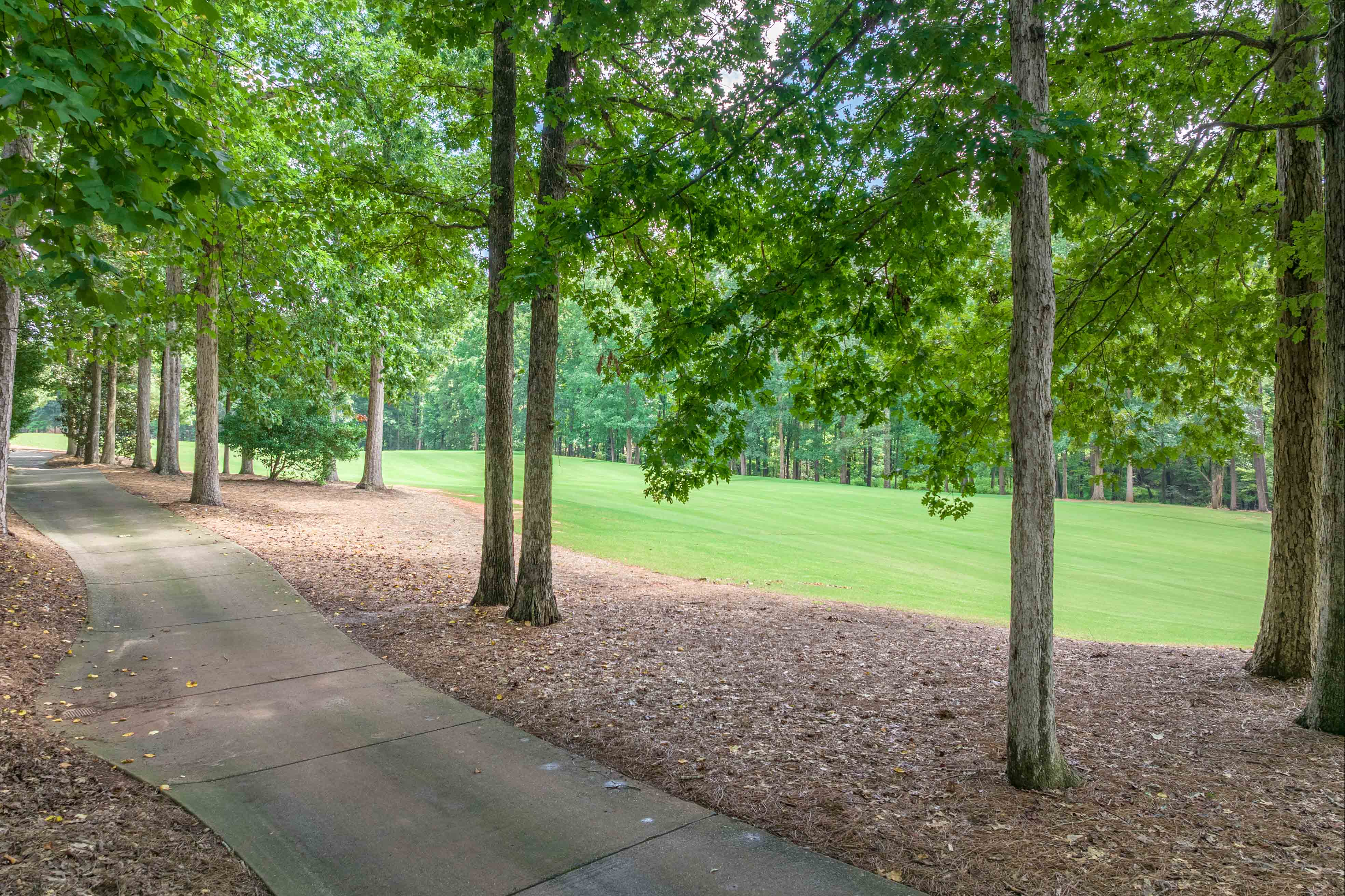 1321 Jackson Ridge Road image 60